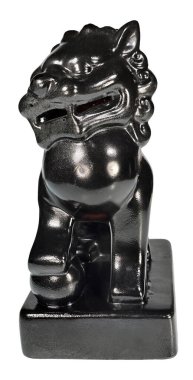 Erkek bir köpeğin ön görüntüsü.