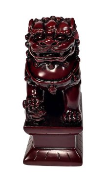 Dişi bir köpeğin ön görüntüsü.