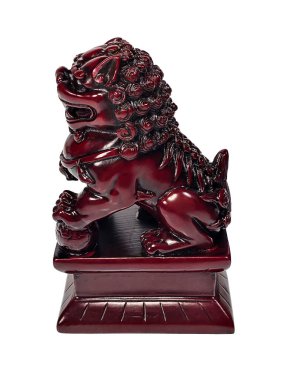 Erkek bir köpeğin yan görüntüsü.