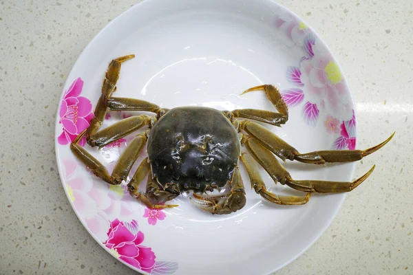 crab for food in close