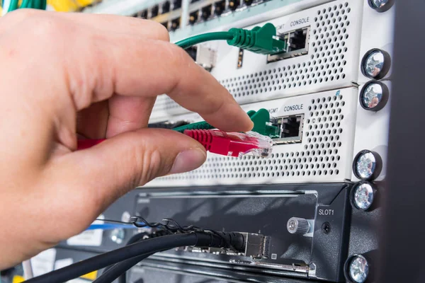 Mano Del Técnico Informático Que Conecta Cable Conexión Interruptor Datos —  Fotos de Stock