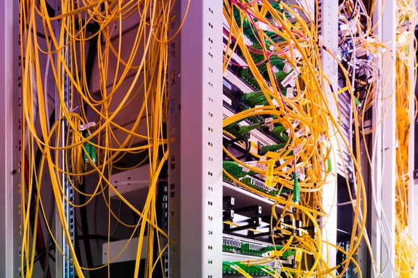 Data Center Bundle Fiber Optics Cables Connected Data Switch — Stock Photo, Image