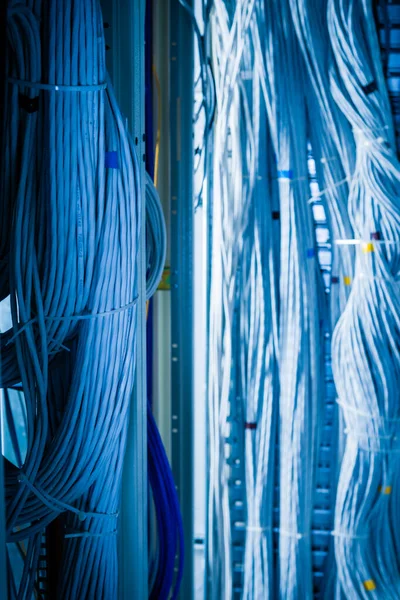 Detalj Ett Stort Antal Ethernet Kablar Sammanbundna Anslutande Rack Inuti — Stockfoto