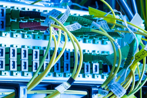 Veri Merkezinde Veri Anahtarına Bağlı Ethernet Kabloları Olan Sunucu — Stok fotoğraf