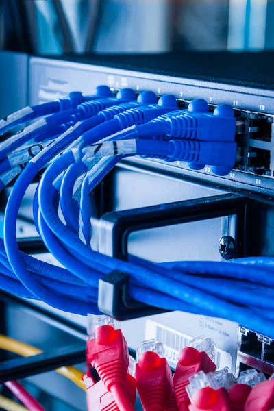 Blaue Patchkabel Die Mit Den Ethernet Ports Des Switchs Verbunden — Stockfoto