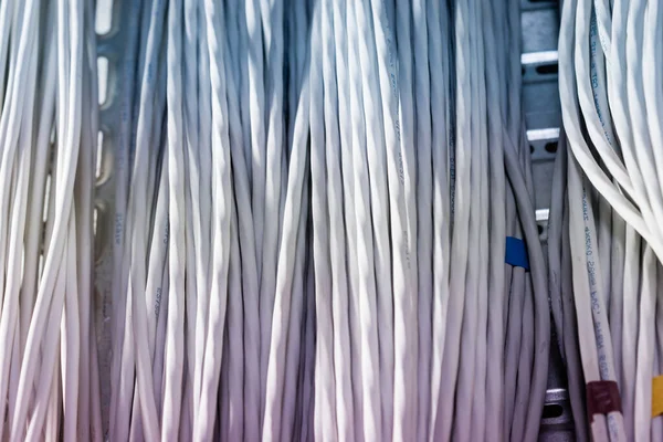 サーバールーム内のラックを接続する多数のイーサネットケーブルの詳細 — ストック写真