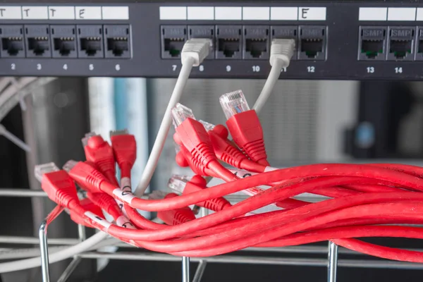 Red Patch Cables Connected Ethernet Ports Switch — Stock Photo, Image