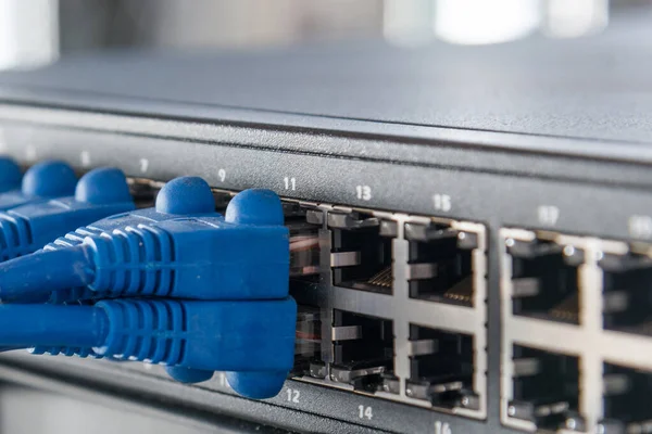スイッチのイーサネットポートに接続された青いパッチケーブル — ストック写真