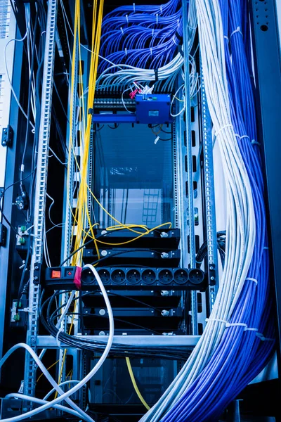 Bunch Patch Network Cables Sorted Rack Cabinet Leading Patch Panel — Stock Photo, Image