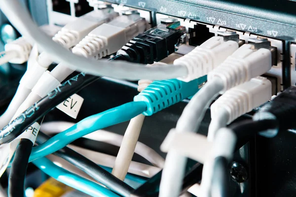 Cables Conexión Coloridos Conectados Interruptor Concepto Internet Alta Velocidad — Foto de Stock