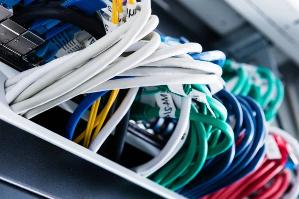 Cables Conexión Coloridos Conectados Interruptor Concepto Internet Alta Velocidad —  Fotos de Stock