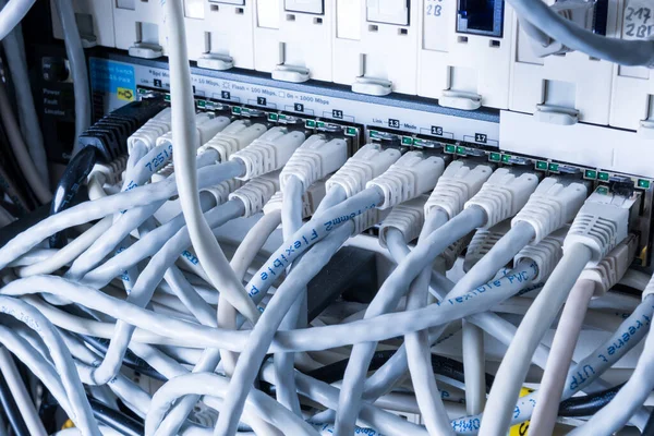 White Patch Cables Connected Data Switch — Stock Photo, Image