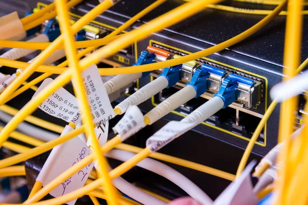 Hálózati Kapcsolótáblába Csatlakoztatott Optikai Kábelek Adatközpont Belsejében — Stock Fotó