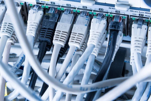Cables Conexión Blancos Conectados Interruptor Datos — Foto de Stock