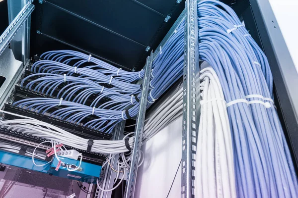 ラックキャビネットに分類されるパッチネットワークケーブルの束データセンタールームのサーバーラックのパッチパネルから — ストック写真