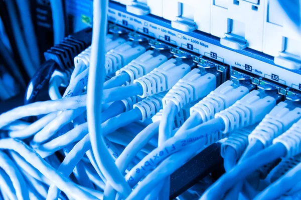 Cables Conexión Blancos Conectados Interruptor Datos —  Fotos de Stock