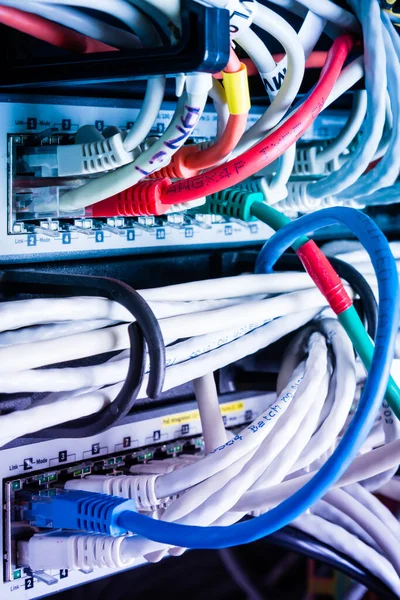 Různé Ethernetové Kabely Zapojené Síťového Spínače — Stock fotografie