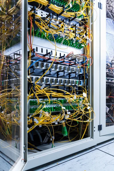 Server Datacenter Met Ethernetkabels Aangesloten Dataschakelaar — Stockfoto