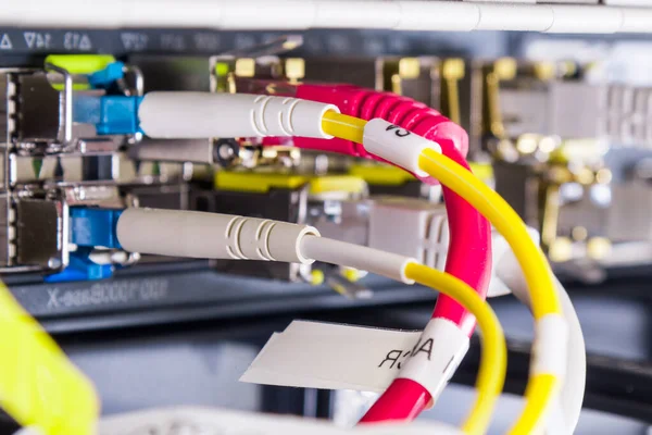 イーサネットポートに接続されているパッチケーブルを持つサーバーの詳細 — ストック写真