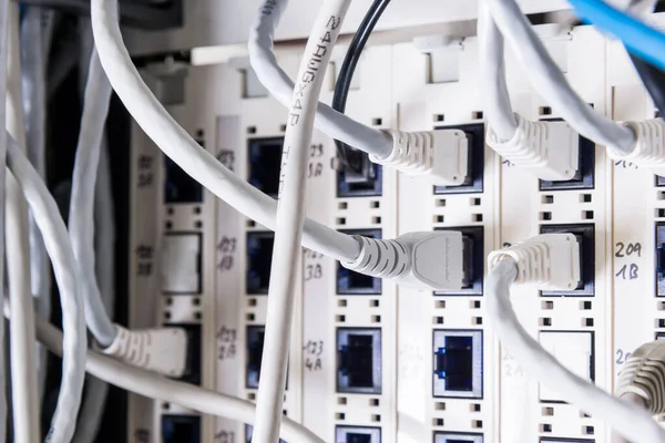 White Patch Cables Connected Data Switch — Stock Photo, Image