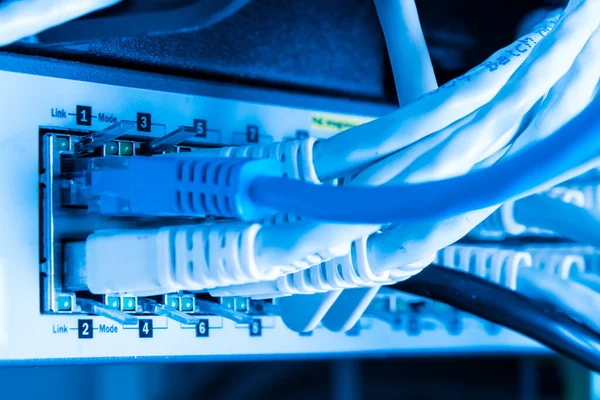 Różne Kable Ethernetowe Podłączone Przełącznika Sieciowego — Zdjęcie stockowe