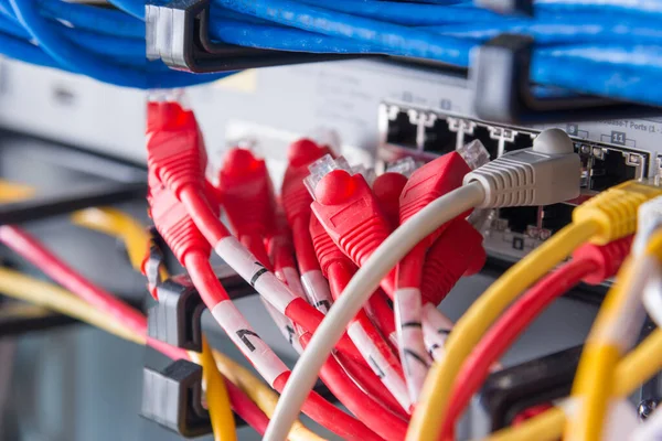 Düğmenin Ethernet Portlarına Bağlı Kırmızı Yama Kabloları — Stok fotoğraf