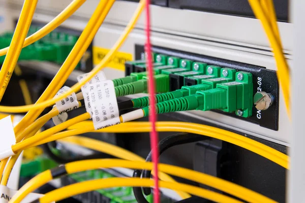 Primer Plano Los Cables Fibra Óptica Conectados Concentrador Del Servidor —  Fotos de Stock