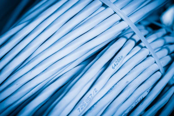 Λεπτομέρεια Μεγάλου Αριθμού Καλωδίων Ethernet Δεμένα Μεταξύ Τους Συνδέοντας Σχάρες — Φωτογραφία Αρχείου
