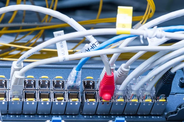 Geçiş Portlarına Bağlı Ethernet Kablolarının Ayrıntıları — Stok fotoğraf