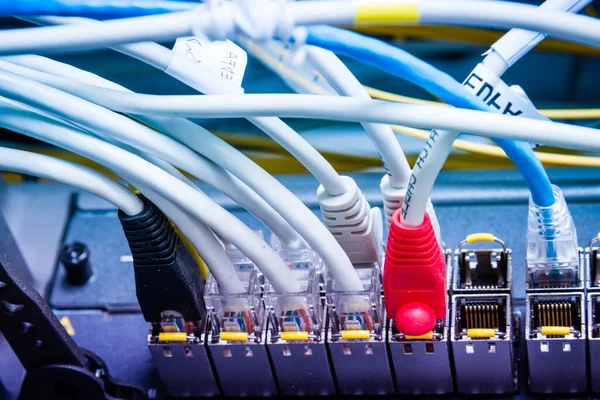 Szczegóły Dotyczące Kabli Ethernetowych Podłączonych Portów Przełączających — Zdjęcie stockowe