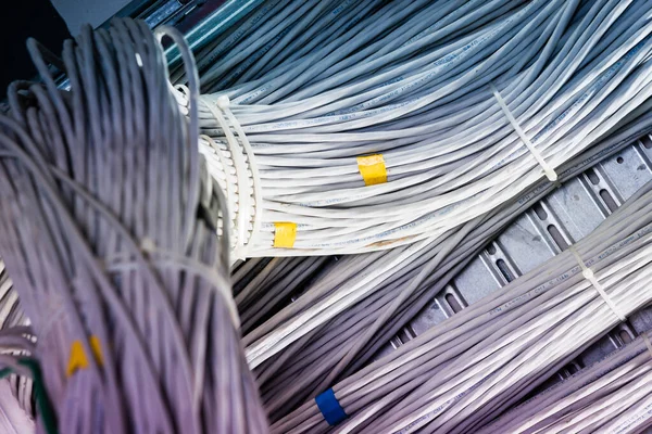 サーバールーム内のラックを接続する多数のイーサネットケーブルの詳細 — ストック写真