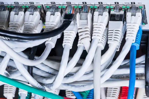 Vários Cabos Ethernet Conectados Interruptor Rede — Fotografia de Stock