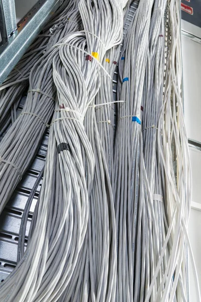 Szczegół Dużej Liczby Kabli Ethernetowych Połączonych Sobą Stojakami Serwerowni — Zdjęcie stockowe