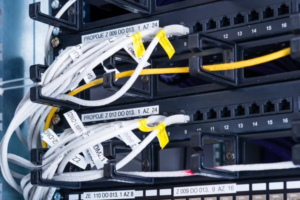Panel Jaringan Switch Dan Kabel Dalam Pusat Data Internet — Stok Foto