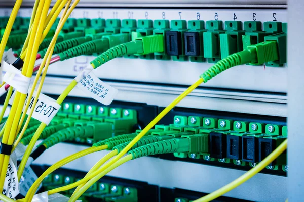 Fiber Optic Cables Plugged Network Switch Panel Data Center — Stock Photo, Image