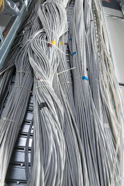 Detail Einer Großen Anzahl Von Miteinander Verbundenen Ethernet Kabeln Die — Stockfoto