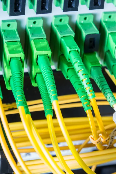 Cables Fibra Óptica Enchufados Panel Del Interruptor Red Dentro Del — Foto de Stock