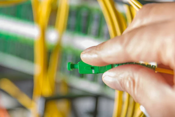 Closeup Hand Administrator Connecting Network Cable Switch — Stock Photo, Image