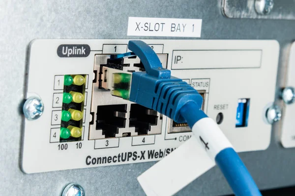 Back Side Server Ethernet Cable Connected Slot — Stock Photo, Image