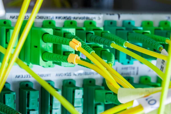 fiber optic cables plugged in network switch panel inside data center