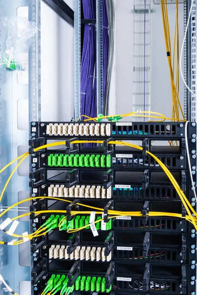 Fiber Optik Kablolar Bir Optik Porta Bağlandı Internet Veri Merkezinde — Stok fotoğraf
