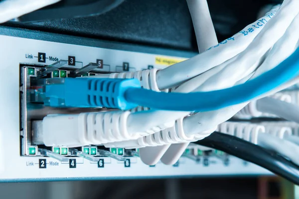 Різні Кабелі Ethernet Підключені Комутатора Мережі — стокове фото