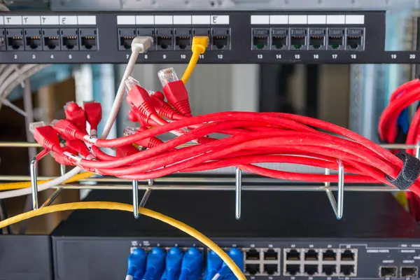red patch cables connected to ethernet ports of the switch