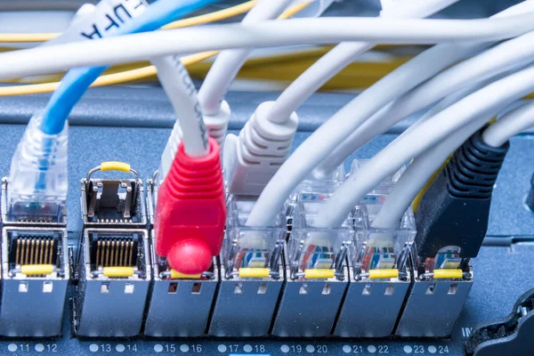 Detail Ethernet Cables Connected Switch Ports — Stock Photo, Image