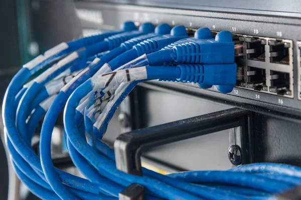 Blå Patchkablar Anslutna Till Strömställarens Ethernet Portar — Stockfoto