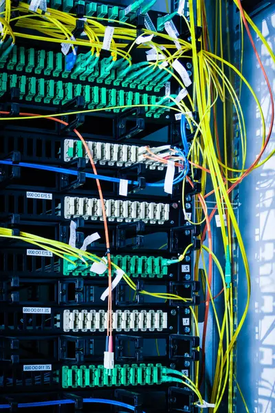 Fiber Optik Kablolar Bir Optik Porta Bağlandı Internet Veri Merkezinde Stok Fotoğraf