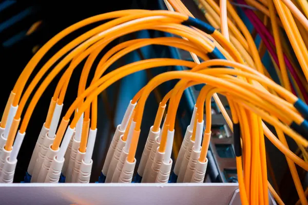 Veri Merkezindeki Anahtar Paneline Takılı Fiber Optik Kablolar - Stok İmaj