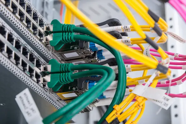 连接光端口的光纤电缆 连接以太网端口的网络电缆 图库照片