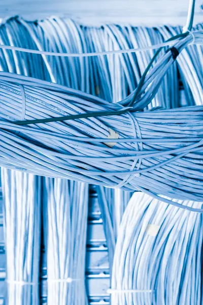 stock image detail of large number of ethernet cables tied together connecting racks inside server room