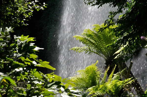 Jardin Extraordinaire Garden Nantes France Waterfall Rocks Lush Vegetation — Foto de Stock